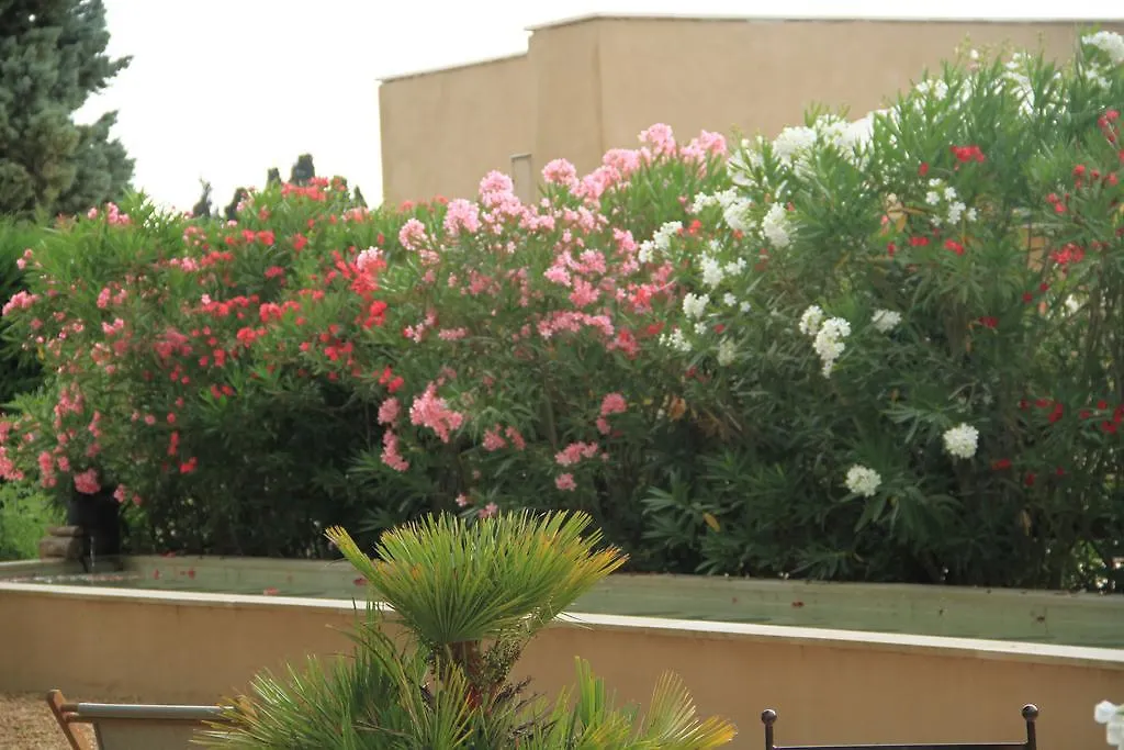 Guest house Haras Saint Esteve Hotel France